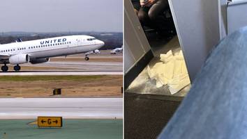 Bestialischer Gestank in der Kabine - Hundekot in der First Class zwingt United Airlines-Flug zur Notlandung
