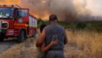 waldbrände: waldbrandsaison war 2023 eine der schlimmsten in der eu