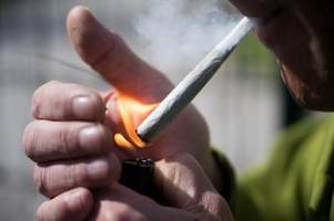 Cannabis-Beschränkungen in Bayern: Wo könnte Kiffen bald verboten werden?