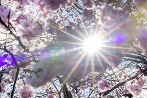 Bundesamt warnt vor erhöhter UV-Strahlung am Wochenende
