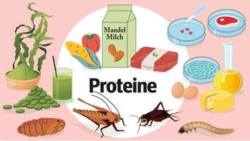 proteine – quelle allen lebens