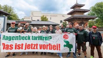 Hagenbeck: Betriebsrat widerspricht Aussagen des Zoo-Chefs