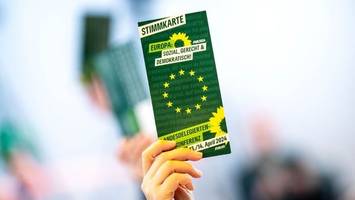 Niedersachsens Grüne setzen sich für Verbot der AfD ein