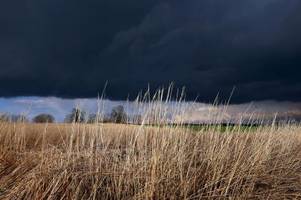 Wetterdienst: Sturmböen und Gewitter erwartet