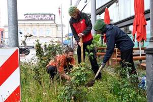 klimaaktivisten wollen stadt mit baumpflanzungen unter druck setzen
