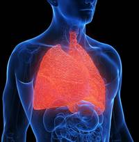 chronisch obstruktive lungenerkrankung - 3 millionen leiden an unheilbarer krankheit copd – diese warnzeichen sollten sie ernst nehmen