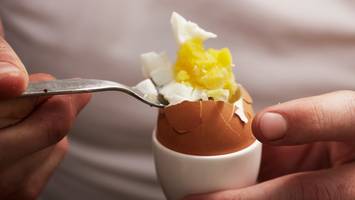 ernährungswissenschaftler sicher - eier und cholesterin - warum sie ohne bedenken in ihr frühstücksei beißen können