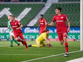 Rolfes erklärt Erfolgsstory: Warum Havertz an Leverkusens Meisterschaft beteiligt ist