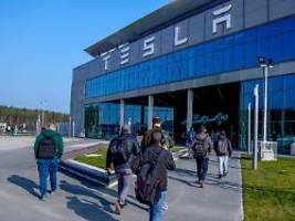 Autobauer zweifelt Laborwerte an: Tesla will Produktionsstopp mit Umwelt-Gutachten verhindern