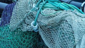 Fangverbote zum Schutz von Aalen in Nord- und Ostsee