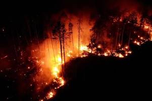 Waldbrandgefahr Mallorca: Datum für Feuerverbot vorverlegt