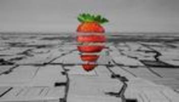 Erdbeeren aus Spanien: Warum 1,50 Euro für Erdbeeren ein unverschämter Preis ist