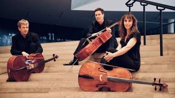 die musik bachs präsentiert von cellisten der elbphilharmonie