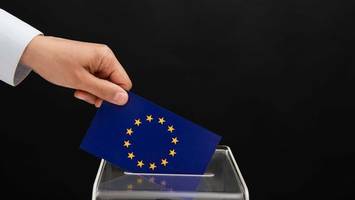 wann ist europawahl? acht von zehn wählern ahnungslos