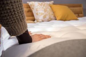 Teppichkäfer-Larven im Bett: So erkennen Sie die Schädlinge