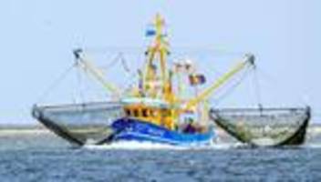 Fischerei: EU-Aktionsplan zu Meeresschutz