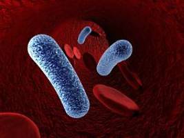 Gefährlich für CED-Patienten: Tödlichen Bakterien dürstet es nach Menschenblut