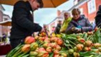 Freizeit: Hafenfest und viele Besucher bei Potsdamer Tulpenfest