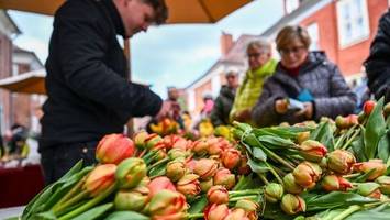 hafenfest und viele besucher bei potsdamer tulpenfest