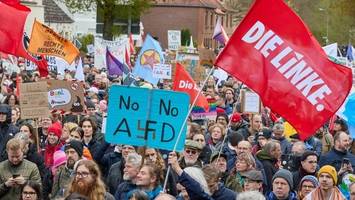 Demo bei AfD-Landesparteitag: „Keine größeren Störungen“