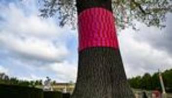 Potsdam: Kranke Bäume in Sanssouci: Ausstellung zu Klimawandel-Folgen