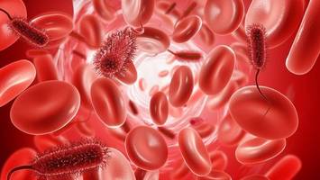 studie: „vampir-bakterien“ dürsten nach menschlichem blut