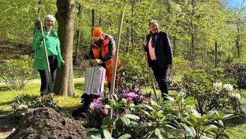 Zehn Neuzugänge: Rhododendron-Park wächst auf 142 Pflanzen an
