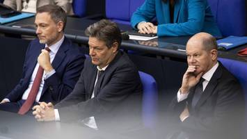 Reaktionen auf Zwölf-Punkte-Plan - FDP-Mann überrascht: „Bei den Grünen scheint es irgendwo 'klick' gemacht zu haben"