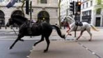 Kavallerie: Ausgebüxte Armee-Pferde galoppieren durch London