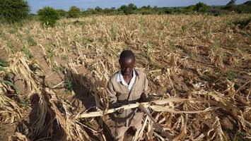 Schreckliche Dürre bedroht 24 Millionen Menschen in Afrika