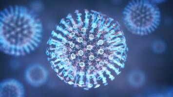 kann für ältere menschen und kinder gefährlich werden - norovirus: was ist das? symptome und behandlung