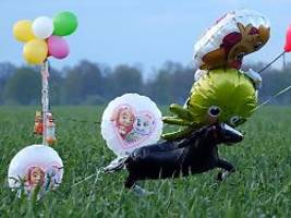 wildkameras im wald aufgestellt: polizei will vermissten arian mit ballons und süßigkeiten finden
