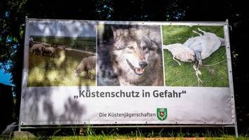 Jäger: „Dringender Handlungsbedarf“ bei Umgang mit Wölfen