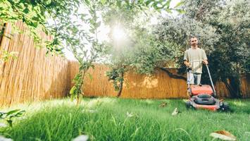 Garten-Paradies - Profi verrät Rasen-Tipps: Ihr Nachbar wird vor Neid erblassen!