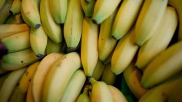 kokain in bananenkisten: 223 kilo, 15 millionen euro wert