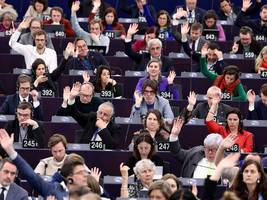 Europäisches Parlament: Strapazen und Sternstunden