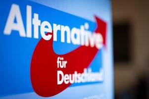 AfD sagt Wahlkampftermin mit Krah in Oberfranken ab