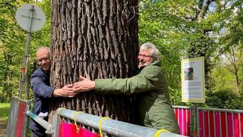 Baum-Umarmung und Klimaforschung - Ausstellung in Sanssouci