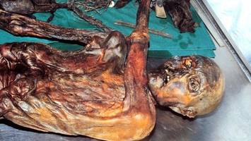 gletschermumie Ötzi und das geheimnis der 61 tätowierungen