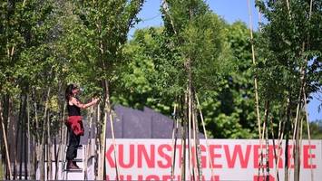 „betonwüste“ wird grün: 200 bäume auf berliner kulturforum