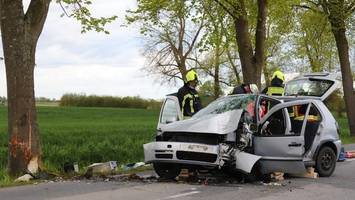 Horrorcrash gegen Baum: Fahrer klemmt unter Gaspedal fest