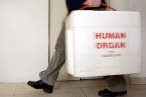 Ansturm auf neues Organspende-Register