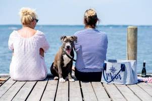 Hundestrand am Gardasee: Wo dürfen Hunde baden?