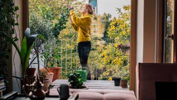 vorsicht vor spätfrost - ab wann kann man den balkon bepflanzen? der richtige zeitpunkt