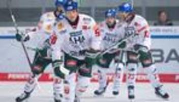 Eishockey: Augsburg hält fünf DEL-Profis: Ingolstadt holt Youngster