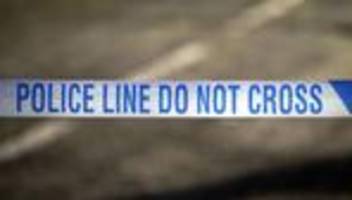 kriminalität: polizeieinsatz in london: mann mit schwert festgenommen