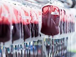 Universalblut aus dem Labor: Enzyme wandeln Blutgruppen A und B in 0 um