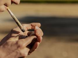 cannabis-legalisierung: auf der suche nach dem grünen bereich