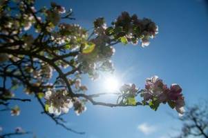 Sonniger Start in den Mai: Temperaturen bis 29 Grad Celsius