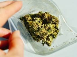 Cannabis-Gesetz: Weit entfernt von einer echten Legalisierung